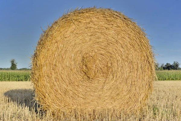 Perto em um haybale em um tiroteio de campo da frente abaixo do céu azul — Fotografia de Stock
