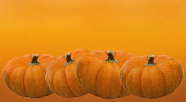 Кілька декоративних гарбузів для Хеллоуїна на помаранчевому фоні — стокове фото