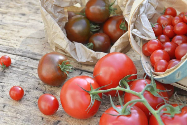 Tomates fraîches sur une planche rustique — Photo