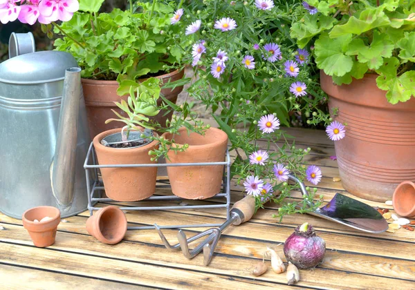 Perto em vaso com ferramentas de jardinagem e outros equipamentos no pátio de madeira — Fotografia de Stock