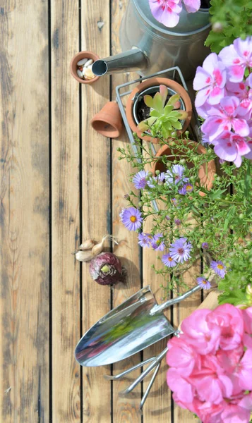 Çiçek ve ampuller ile bir tahta üzerinde metal bahçe araçları bir üst görünümü ile konsept bahçe — Stok fotoğraf