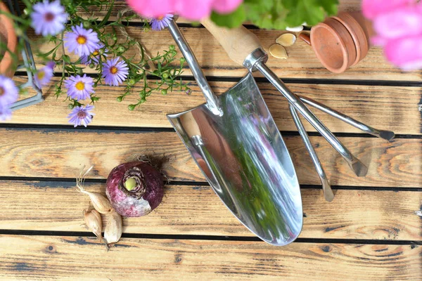 Vista superior em ferramentas de jardinagem de metal em uma prancha com flores e bulbos — Fotografia de Stock