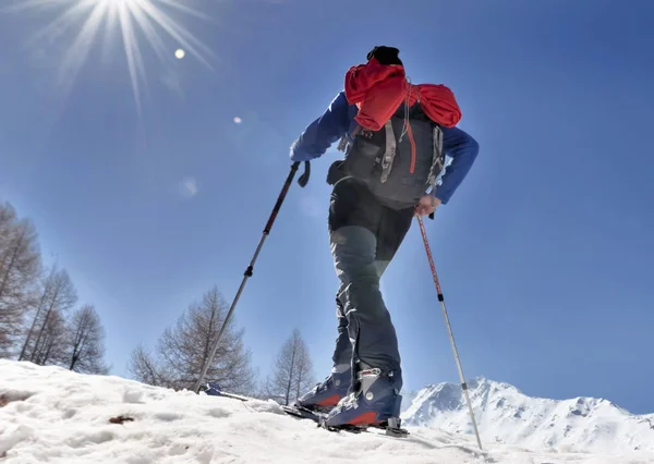 Touring skiër beklimmen berg onder zonnige blauwe hemel — Stockfoto