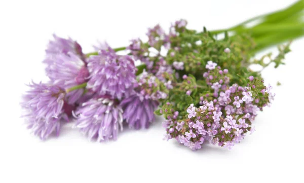 Bouquet of chive and thyme in flower on white background — Stock Photo, Image