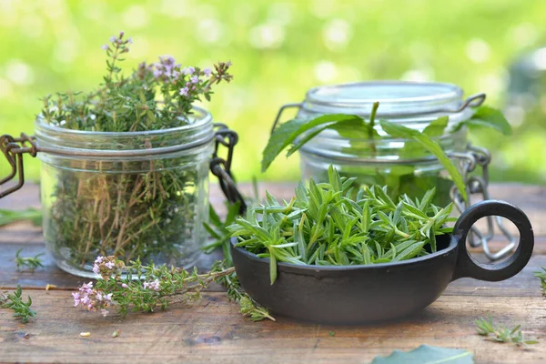 Aromatic Herbs Leaf Jar Wooden Table Garden — Stock Photo, Image