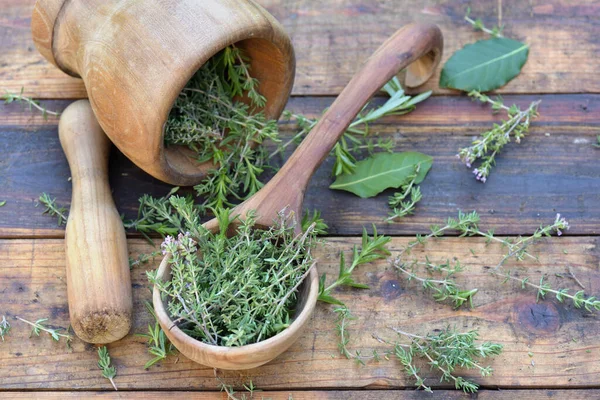 Herbe Aromatique Dans Une Cuillère Bois Mortier Sur Une Table — Photo