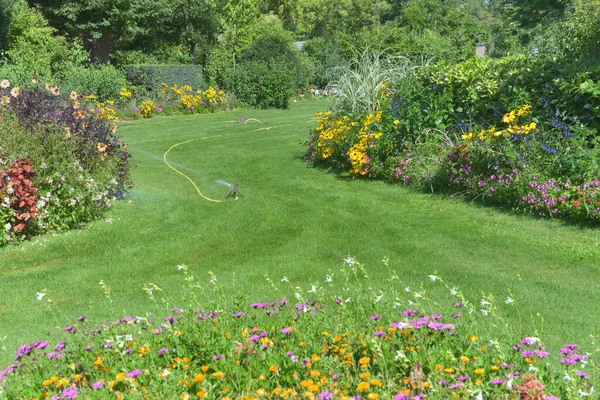 夏には色とりどりの花壇が咲く庭を散水 — ストック写真