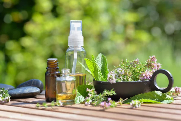 Daun Dari Tanaman Aromatik Dan Botol Minyak Esensial Diatur Atas — Stok Foto