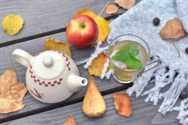 Mint Cup Tea Wooden Table Garden Teapot Autumnal Leaf Red — Stock Photo, Image