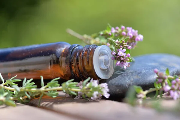 Close Bottle Essential Oil Spilled Pebble Medicinal Fresh Plant — Stock Photo, Image