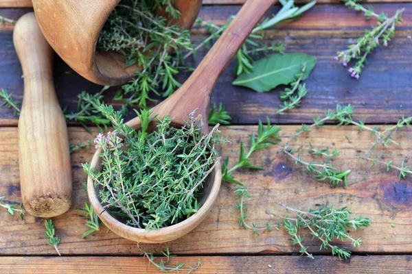 Herbe Aromatique Dans Une Cuillère Bois Mortier Sur Une Table — Photo