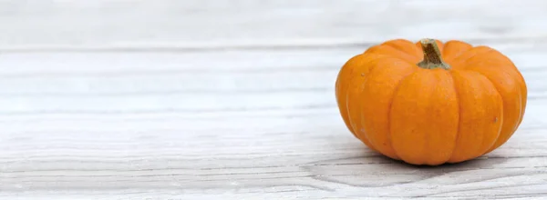 Little Squash Put White Wooden Table Copy Space Right — Stock Photo, Image