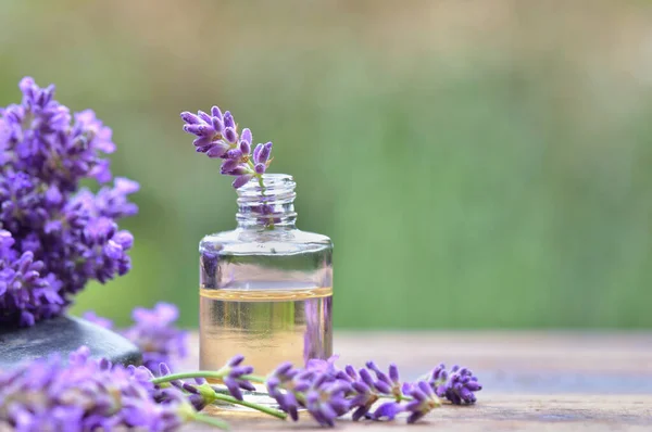 Close Purple Lavender Flower Bottle Essential Oil Table Garden — Stock Photo, Image