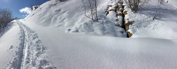 Лыжные Отпечатки Свежем Заснеженном Склоне Горы Голубым Небом — стоковое фото