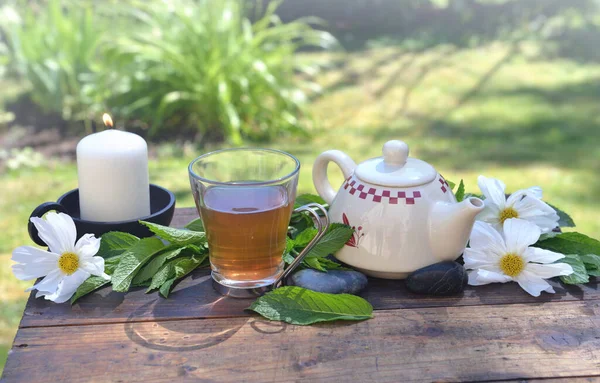 Cup Mint Tea Teapot Wooden Table Garden Fresh Leaf White — Stock Photo, Image