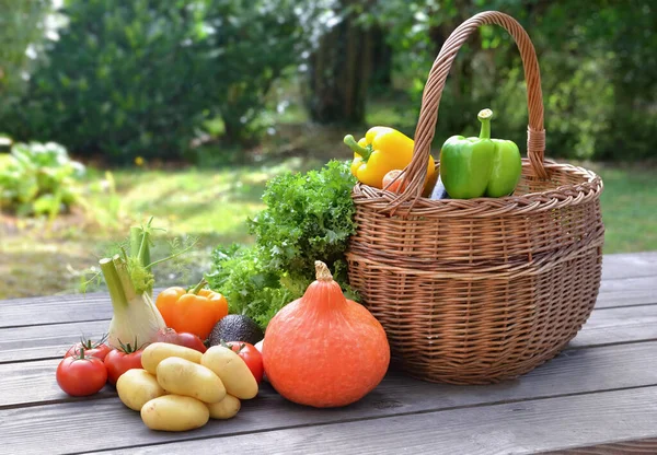 各种色彩斑斓的蔬菜放在花园篮子旁边的桌子上 — 图库照片