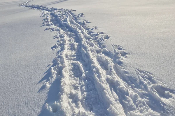 Tracks Fresh Snow Crossing Snowcapped Mountain — Stock Photo, Image