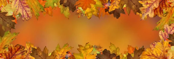 Oranžové Podzimní Pozadí Listem Dubu — Stock fotografie