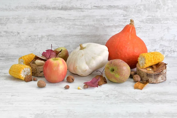 Verduras Frutas Otoñales Variadas Coloridas Con Mazorca —  Fotos de Stock