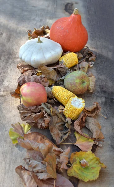 木の背景に葉の中の様々なカラフルな秋野菜や果物 — ストック写真