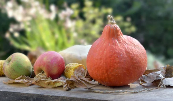 Kleiner Kürbis Und Äpfel Blättern Auf Einem Tisch Garten — Stockfoto