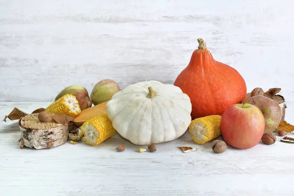 Různé Barevné Podzimní Zeleniny Ovoce — Stock fotografie