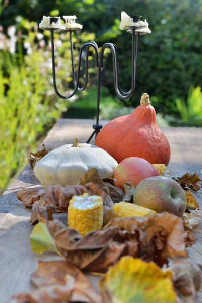 Varie Colorate Verdure Autunnali Frutta Foglie Fondo Legno Giardino — Foto Stock