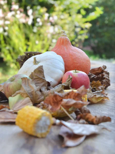 各种五彩缤纷的秋天蔬菜和水果在花园木制背景的树叶中 — 图库照片