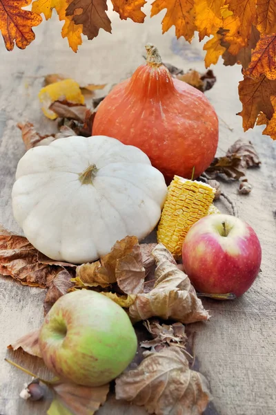 Squash Och Äpplen Bruna Blad Och Eklöv Som Gränsar Till — Stockfoto