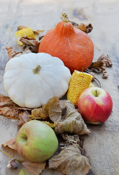 各种色彩斑斓的秋天蔬菜和水果 叶背木制 — 图库照片
