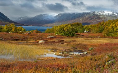 Norveç 'teki karlı dağların arka planında, fiyortta yetişen bitkilerin kırmızı yapraklarını görmek