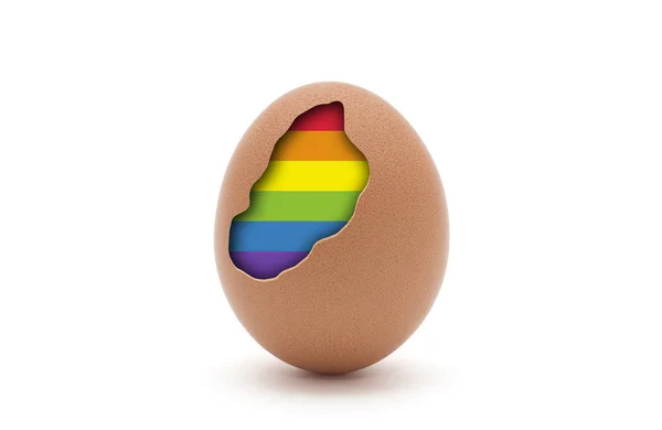 Eieren Met Regenboogkleuren Van Lgbt Binnenin — Stockfoto