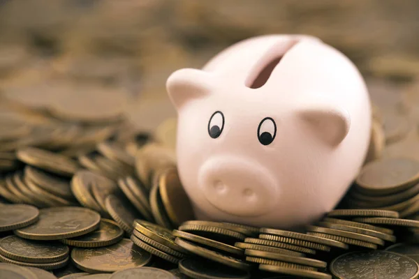 Pink Piggy Bank Coins — Stock Photo, Image
