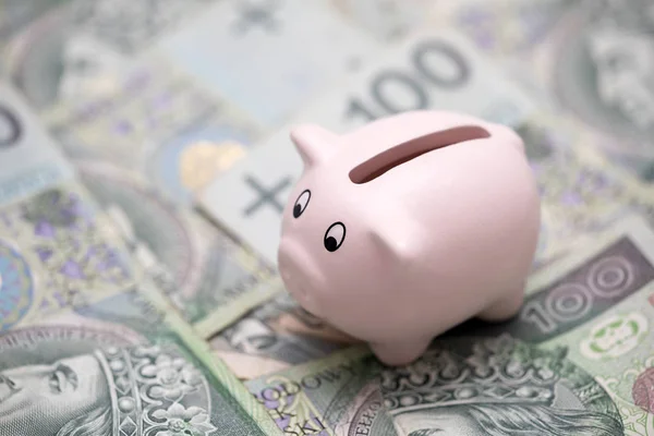 Piggy Bank Polska Pengar — Stockfoto