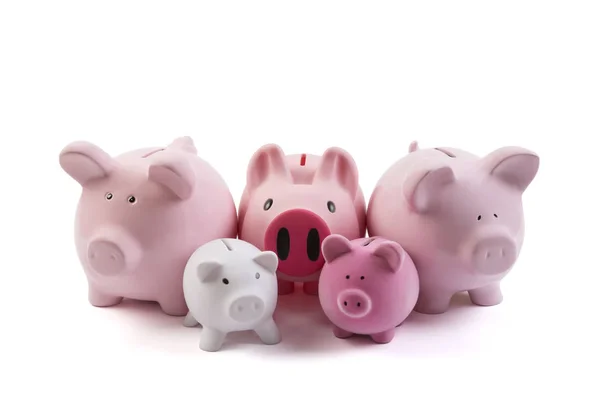 Grupo Porquinhos Sobre Fundo Branco Com Caminho Recorte — Fotografia de Stock