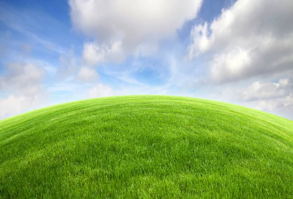 Green Grass Field Bright Blue Sky — Stock Photo, Image