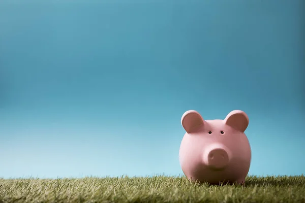 Piggy Bank Groen Gras Blauwe Lucht — Stockfoto