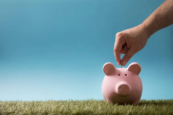 Colocando Moeda Banco Porquinho Grama Verde Céu Azul — Fotografia de Stock