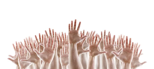 Beyaz Arka Planda Izole Açık Avuç Içi Yükseltilmiş Eller Grubu — Stok fotoğraf