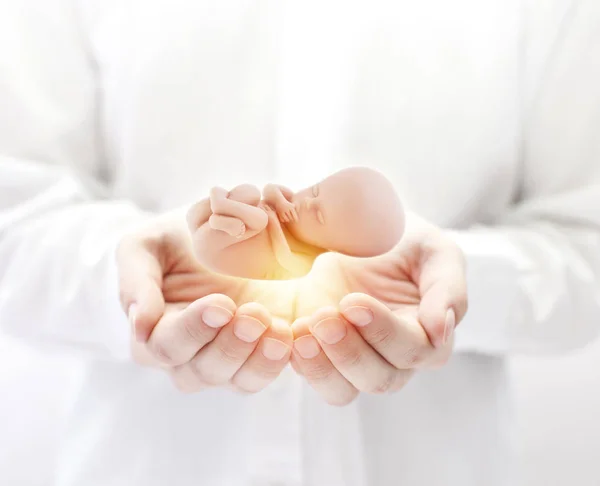 Menschlicher Embryo Händen — Stockfoto