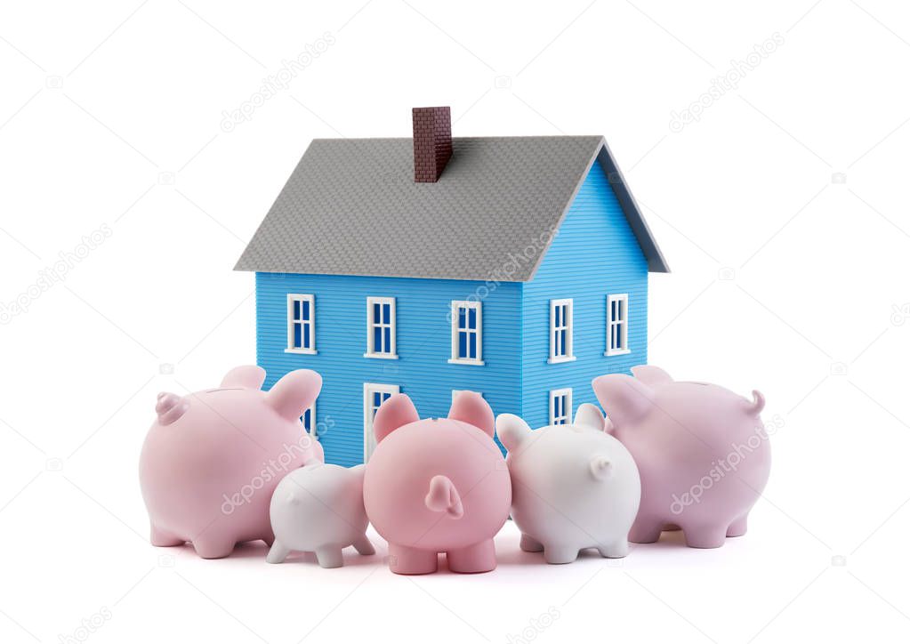 Group of piggy banks looking at the blue house 