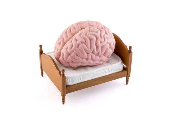 Human Brain Resting Bed Isolated White Background — Stock Photo, Image