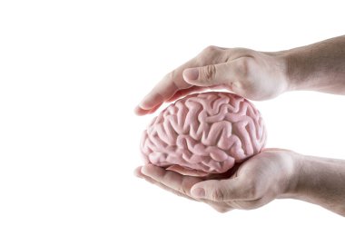 Beyaz arka plan üzerinde izole eller ile kaplı insan beyni 