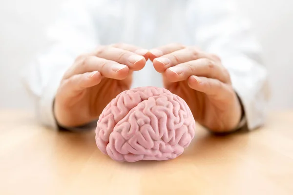 Cérebro Humano Coberto Por Mãos — Fotografia de Stock