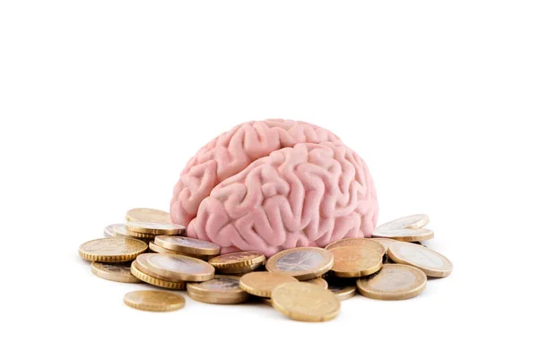 Human Brain Coins White Background — Stock Photo, Image