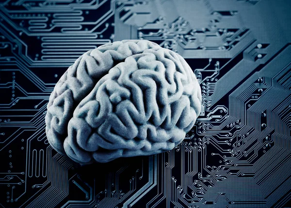 Human brain on computer circuit board