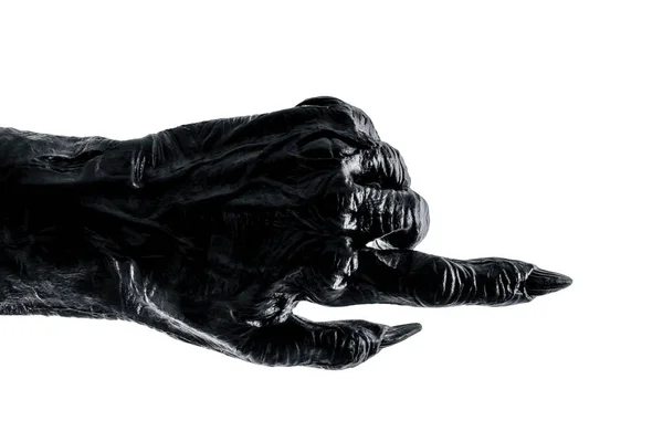 クリッピングパスと白の背景に隔離された不気味なモンスターの手 — ストック写真