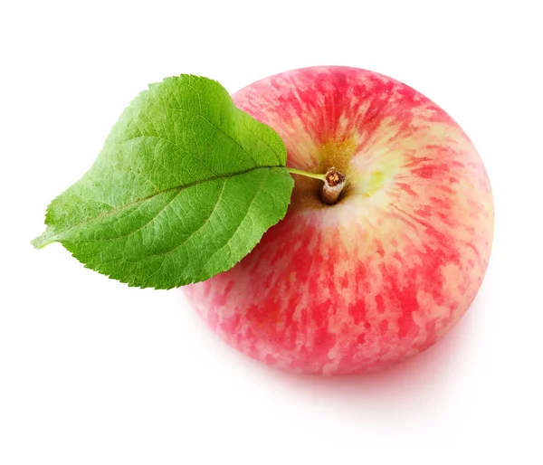 Isolated Apple One Red Apple Fruit Leaf View Isolated White — Stock Photo, Image