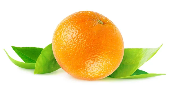 Arancione Isolato Frutto Intero Arancio Foglie Fresche Isolato Sfondo Bianco — Foto Stock