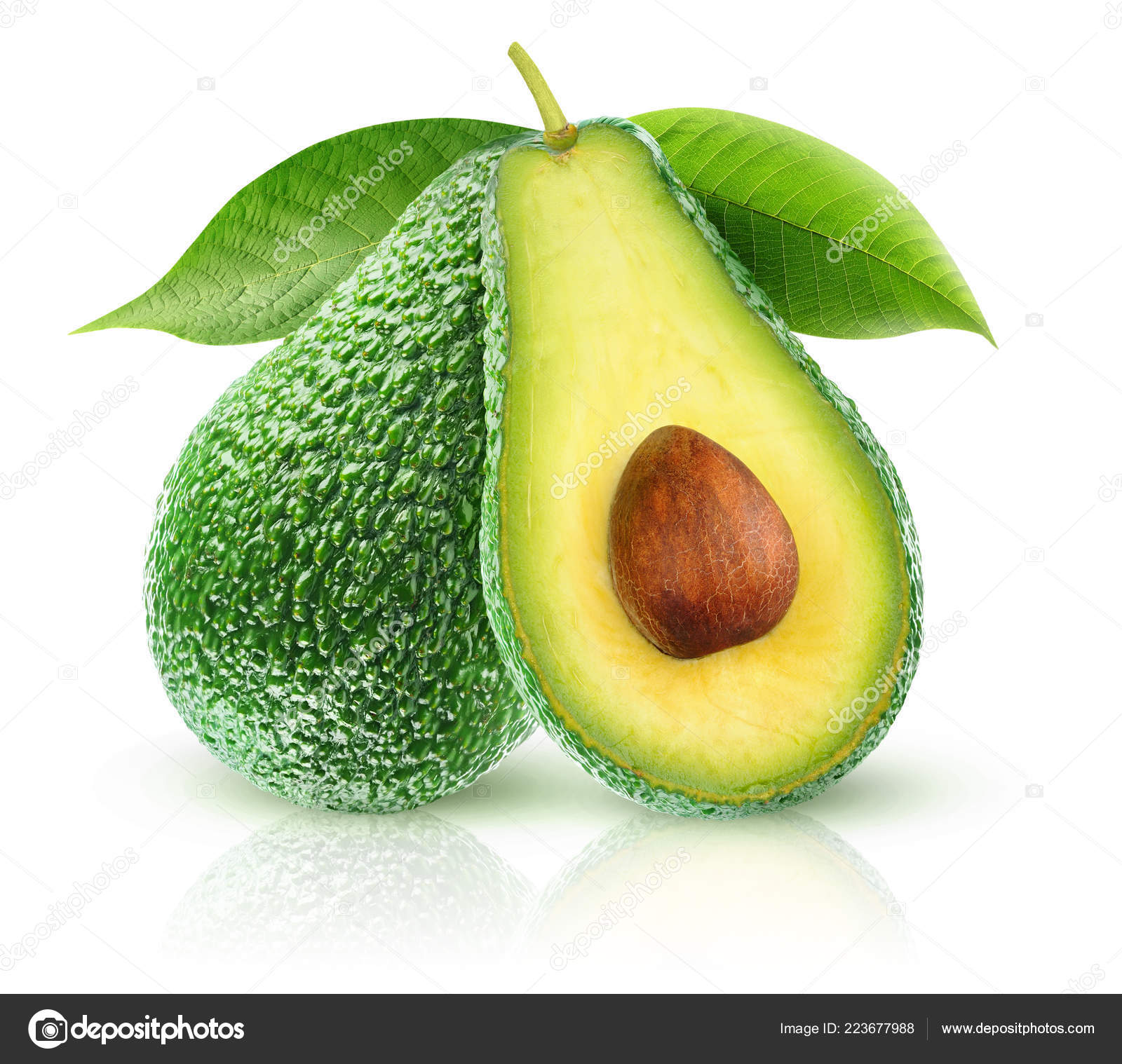 Isolated Avocados Two Avocado Fruits One Cut Half Branch Leaves Stock Photo Image By C Photomaru Isolated Avocados Two Avocado Fruits One Cut Half Branch Leaves Stock Photo Image By C Photomaru